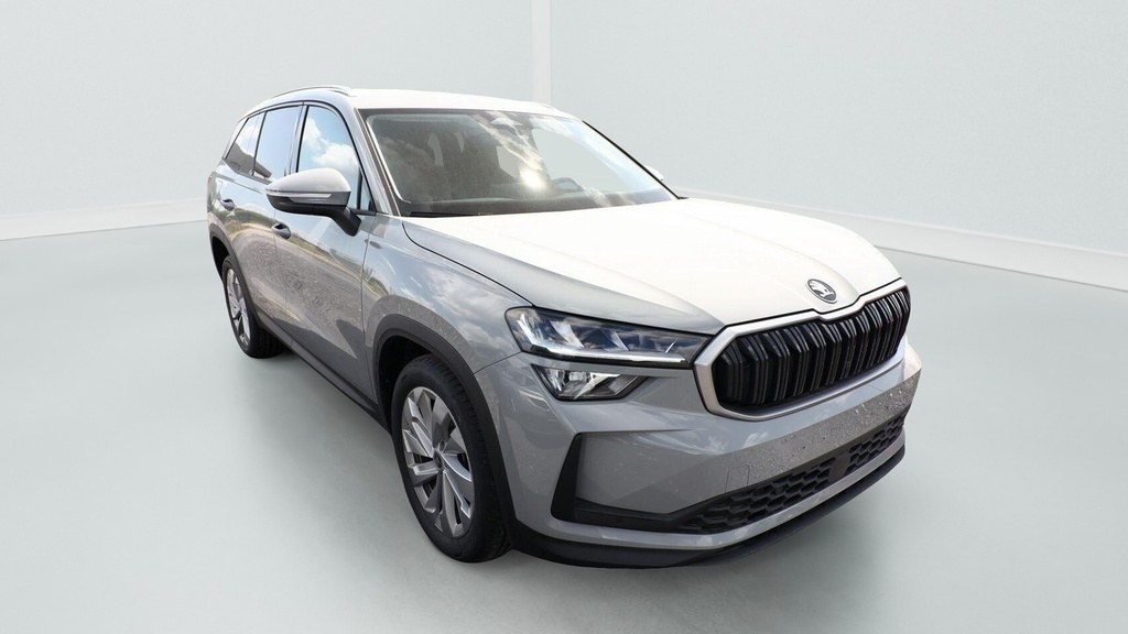 Skoda Kodiaq 2.0 TDI 150 ch SCR DSG7 7pl Selection neuf, Gris