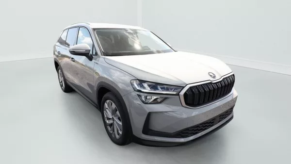 Skoda Kodiaq 2.0 TDI 150 ch SCR DSG7 7pl Selection neuf
